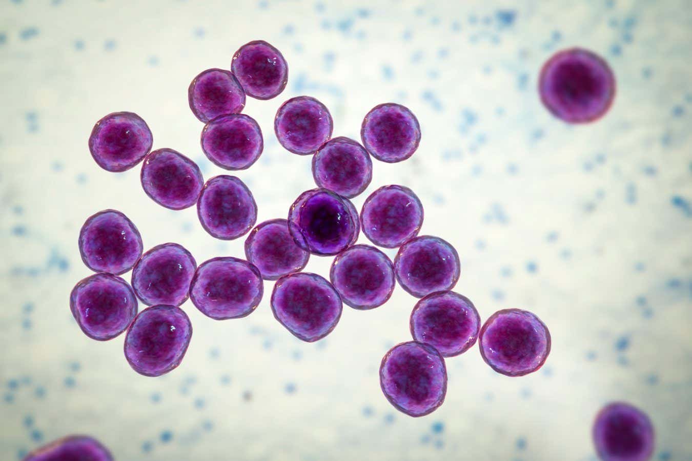 «Envenenamiento de Datos» ¿Qué es? y Cómo los artistas sabotean la IA de los generadores de imágenes